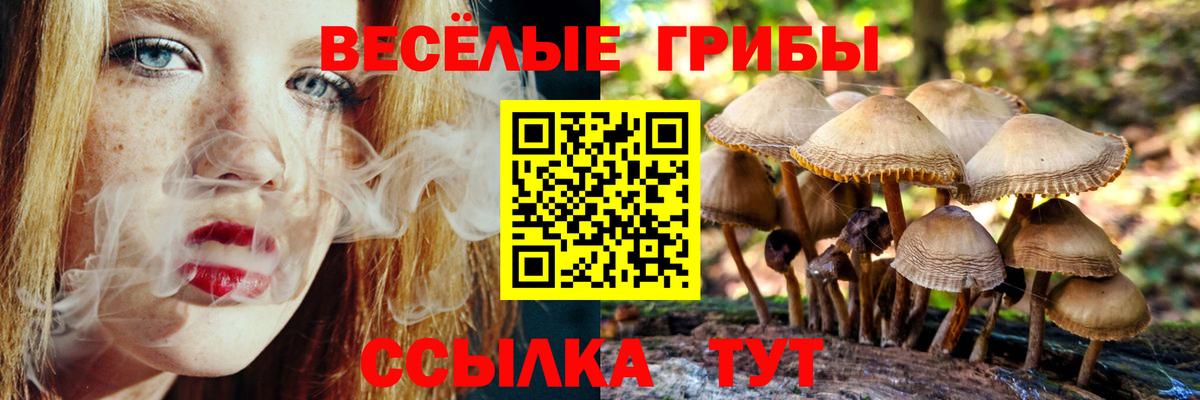 Кисловодск  Галлюциногенные грибы MAGIC MUSHROOMS  Вход с VPN 